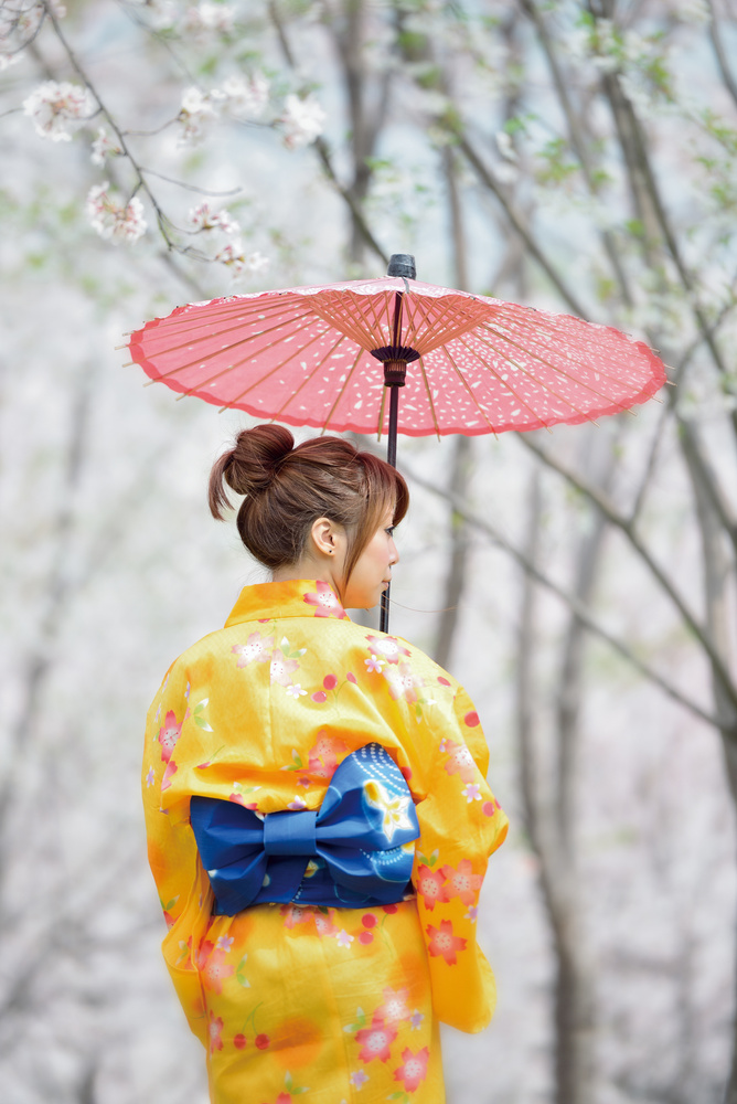 Japanese Culture